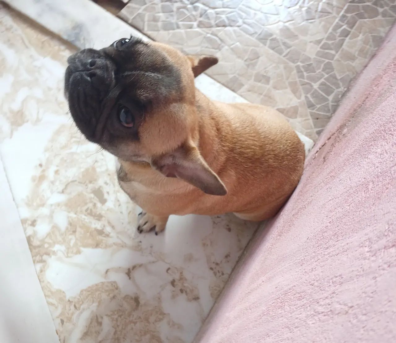 Vende-se  - Foto 4