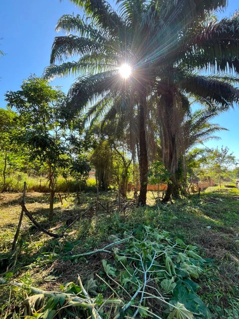 Vendo terreno em jardim primavera 