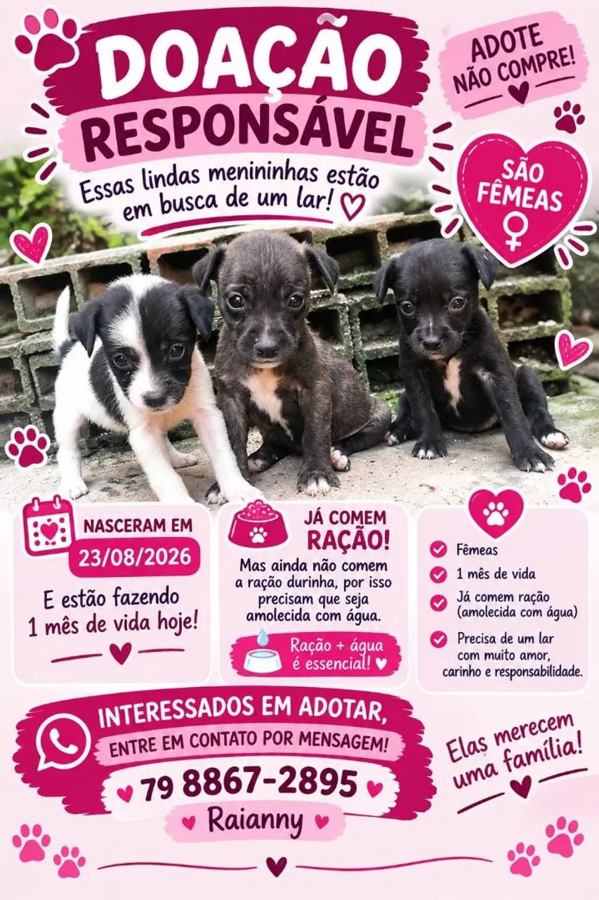 Doação  - Foto 2