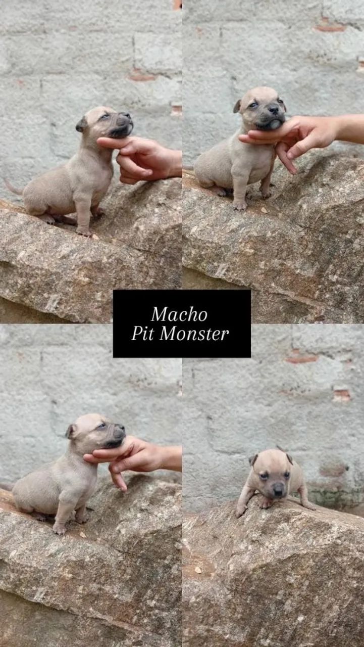 Vende-se  - Foto 2
