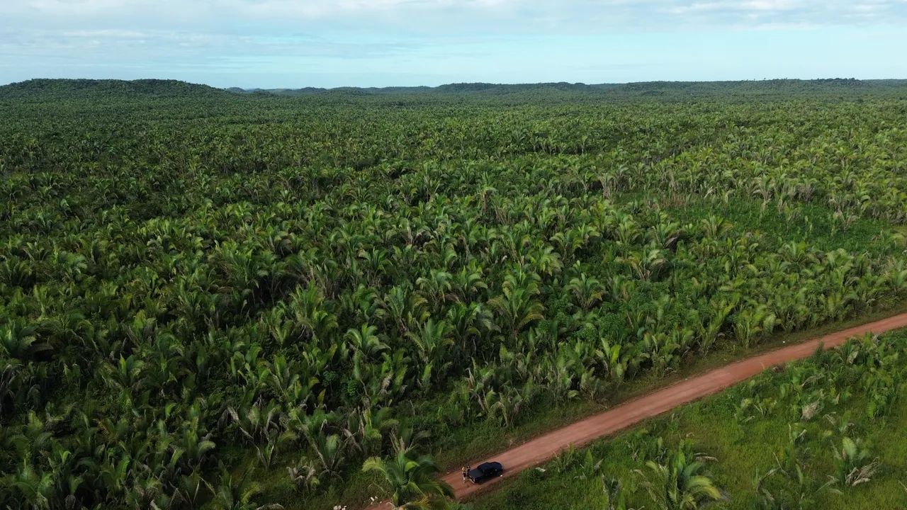 Terra em Presidente Vargas  - Foto 3