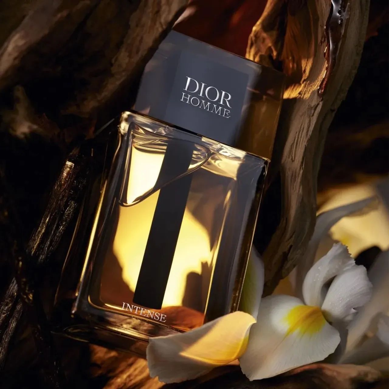 Dior Homme Intense + Yves Saint Laurent L'Homme