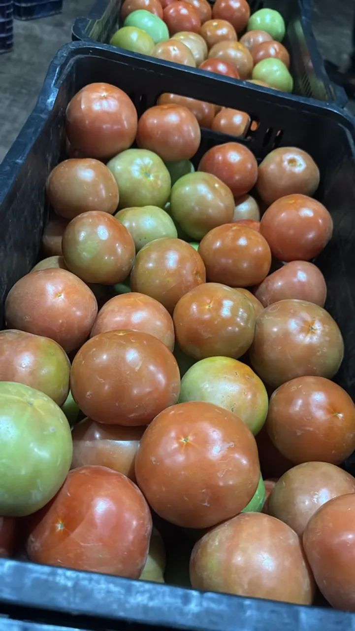Frutas e verduras no atacado ! - Foto 5