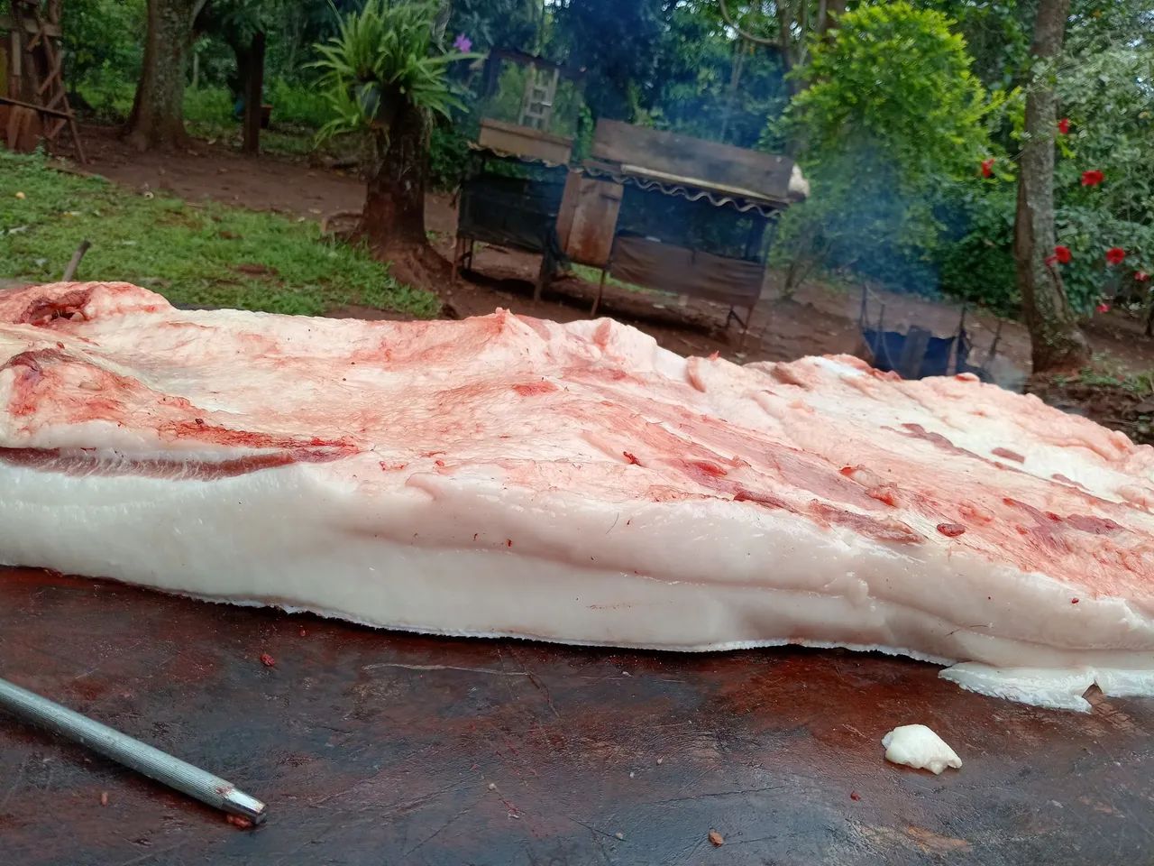 Banha suína pura  - Foto 2