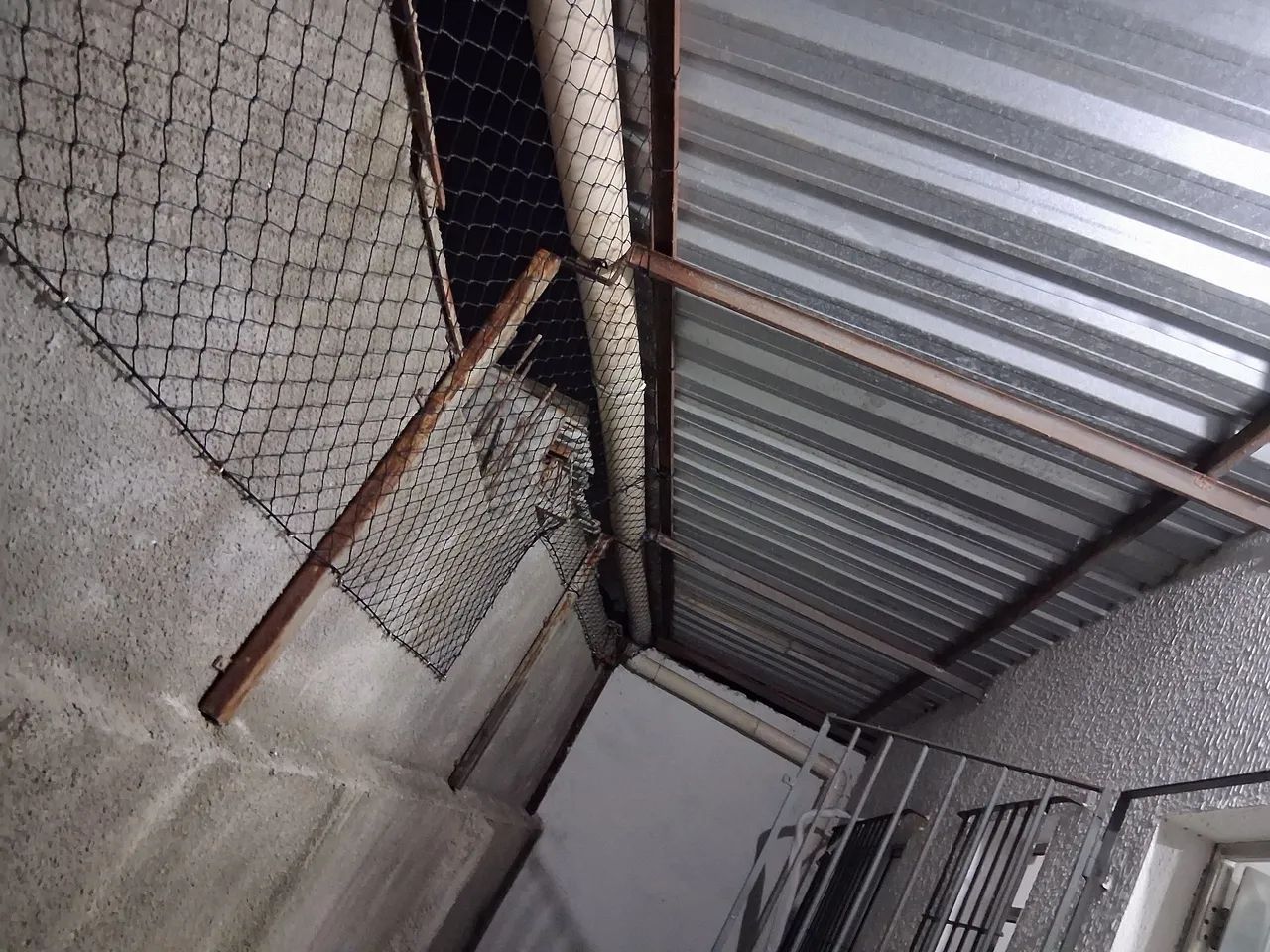 Telas de proteção chama!  - Foto 4