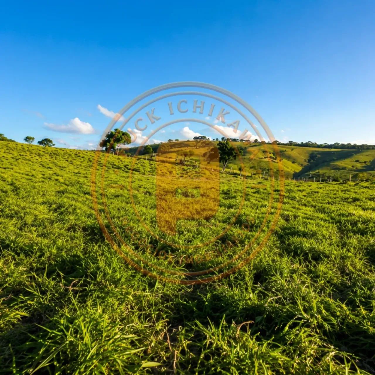 FAZENDA - 83 Tarefas - Nossa Senhora das Dores - Foto 4