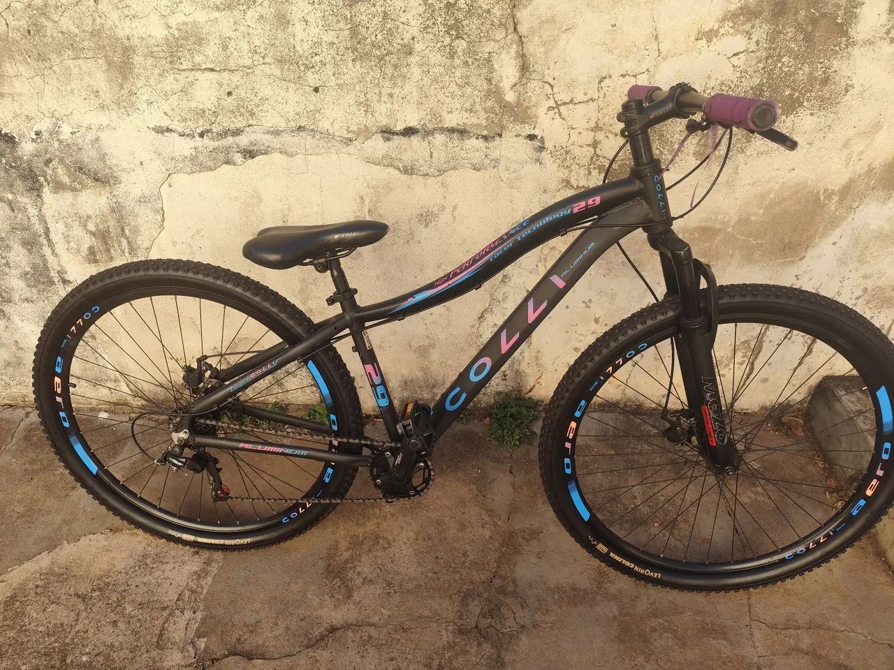 Bicicleta colli aro 29