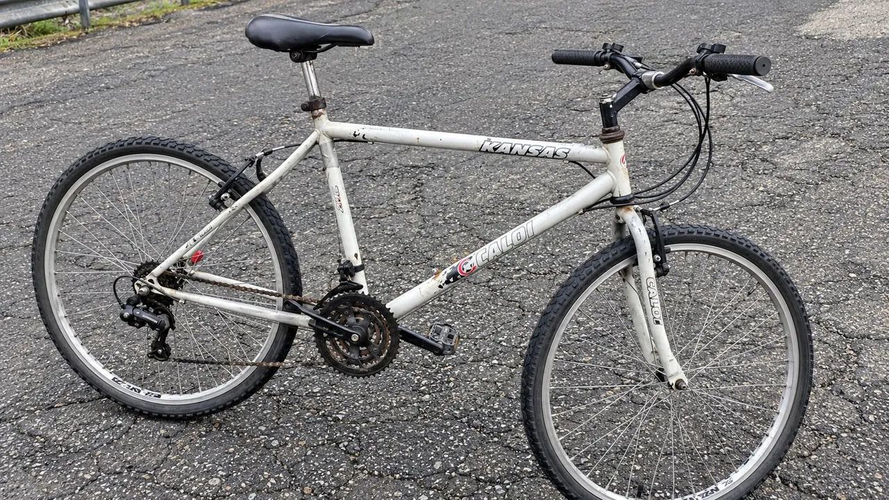 Bicicleta 