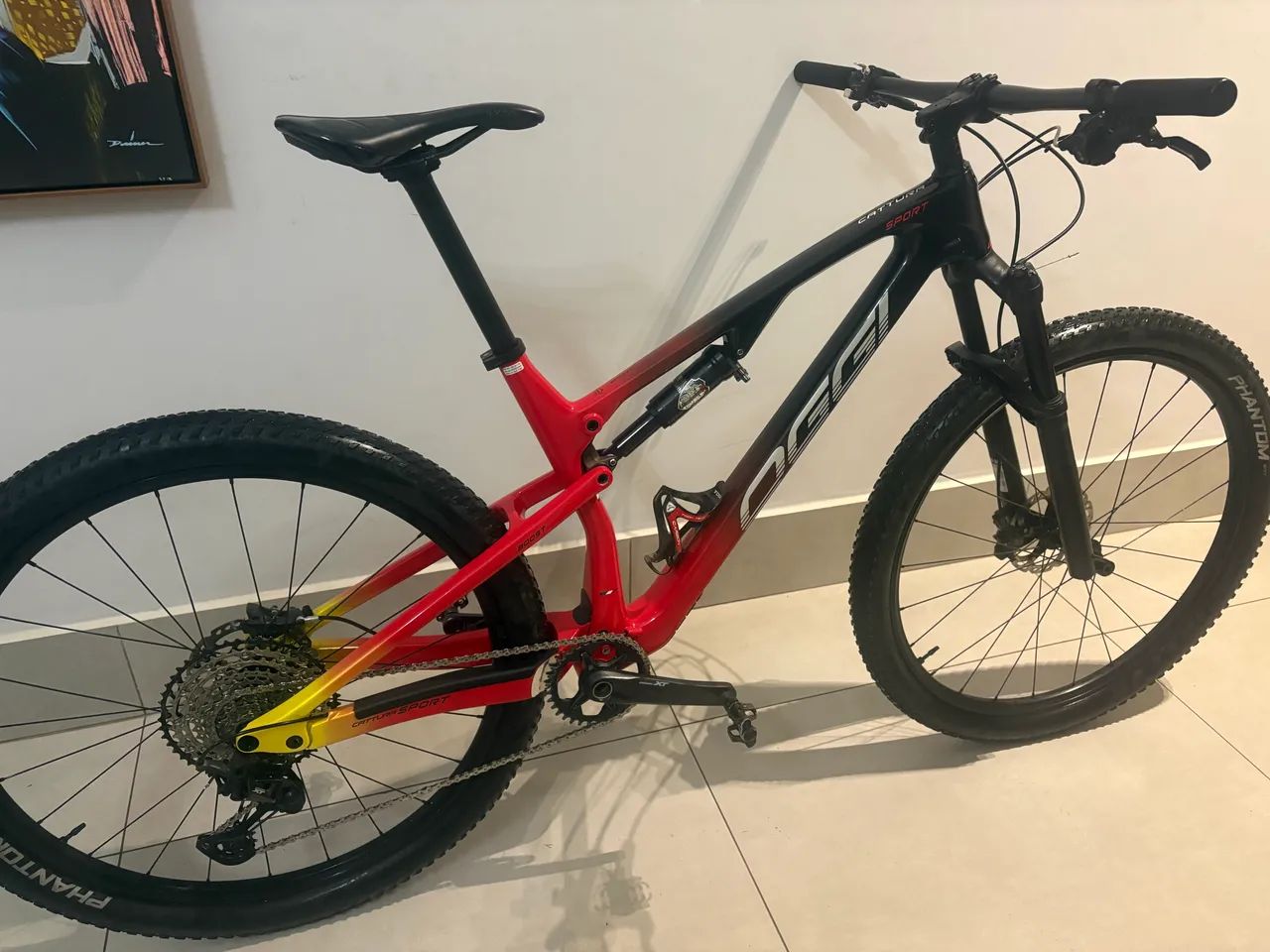 Bicicleta oggi Full carbono