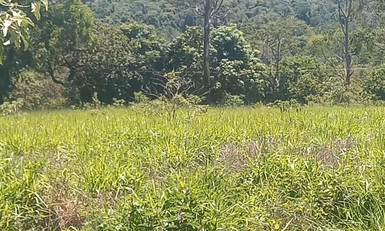 Chácara  - Foto 5