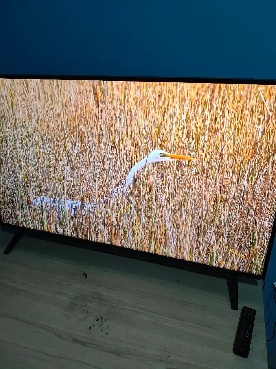 TELEVISÃO LG 50 polegadas 4K