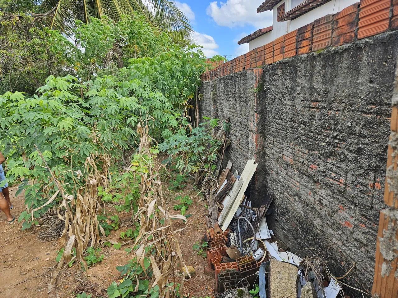 Terreno 12 por 22,6m²  - Foto 5