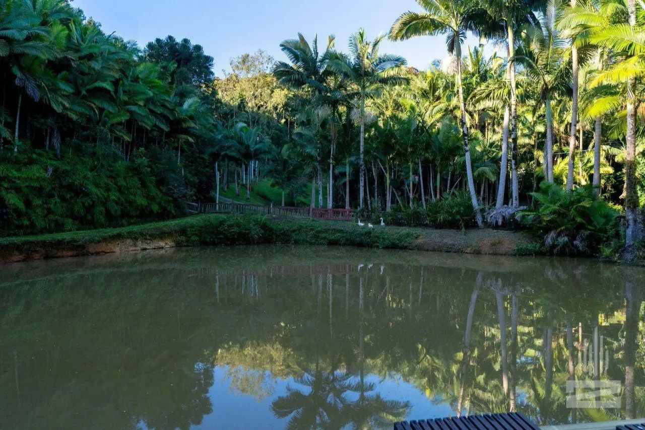 Lindo Sítio a Venda com 38mil m² em Pomerode - Foto 4