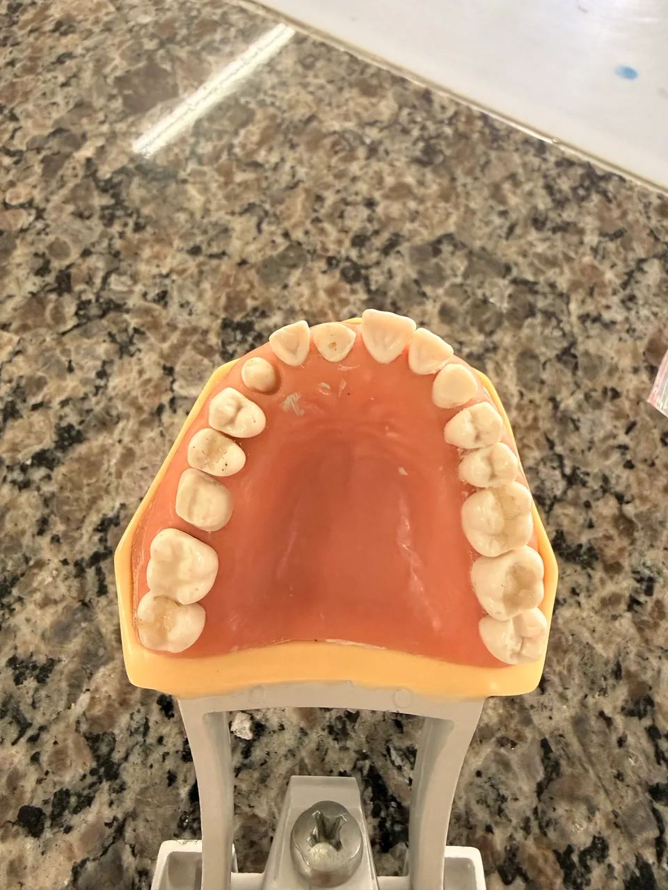 Manequim MOM dentistica - Foto 5