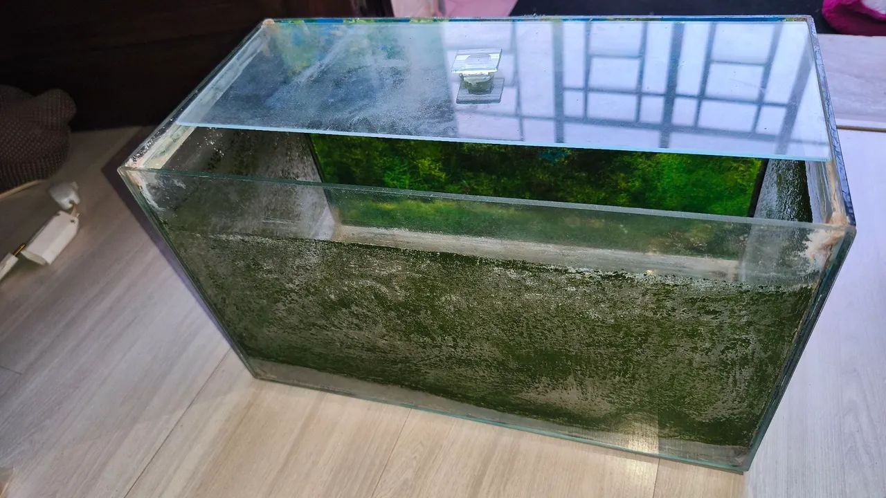 AQUÁRIO 120 LITROS - Foto 4