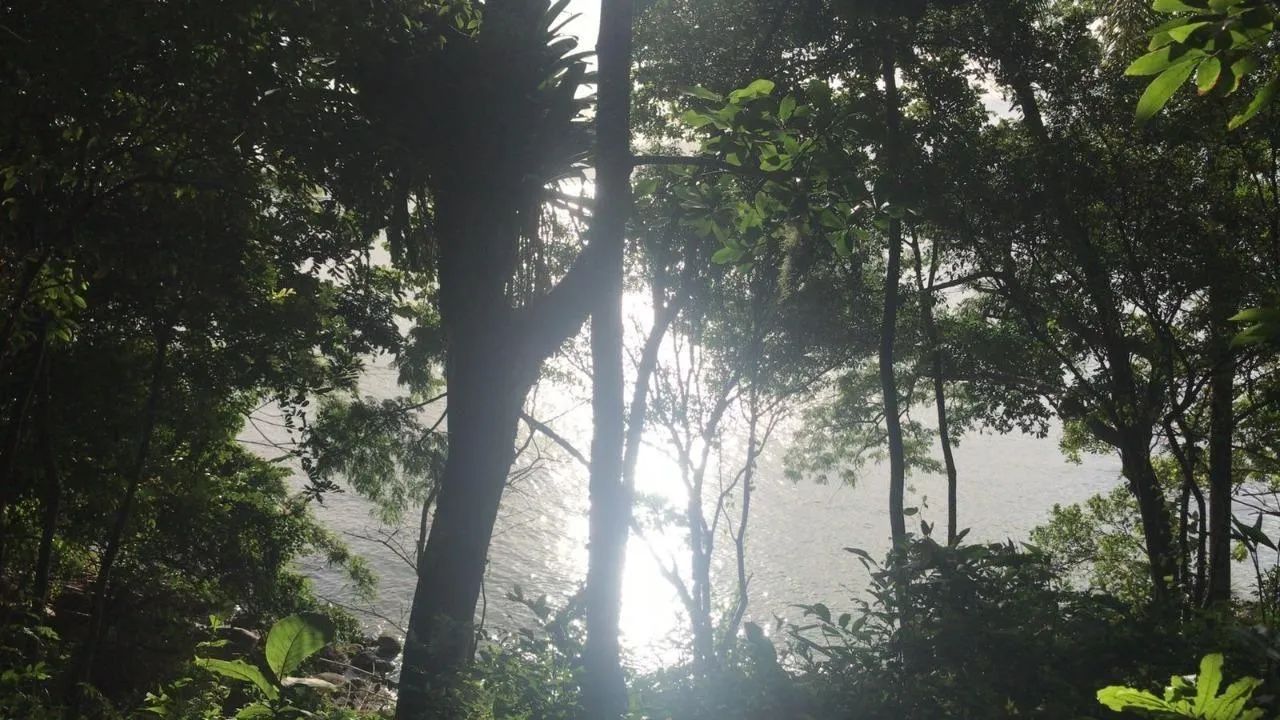 Terreno para Venda em Florianópolis, Sambaqui - Foto 3