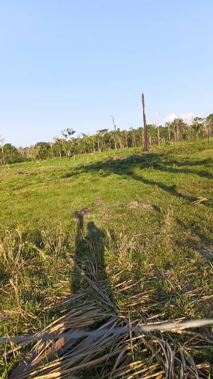 Sítio a venda  - Foto 3
