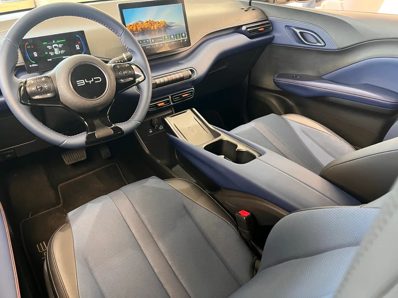 BYD Dolphin Mini (Elétrico) 2027 - Foto 5