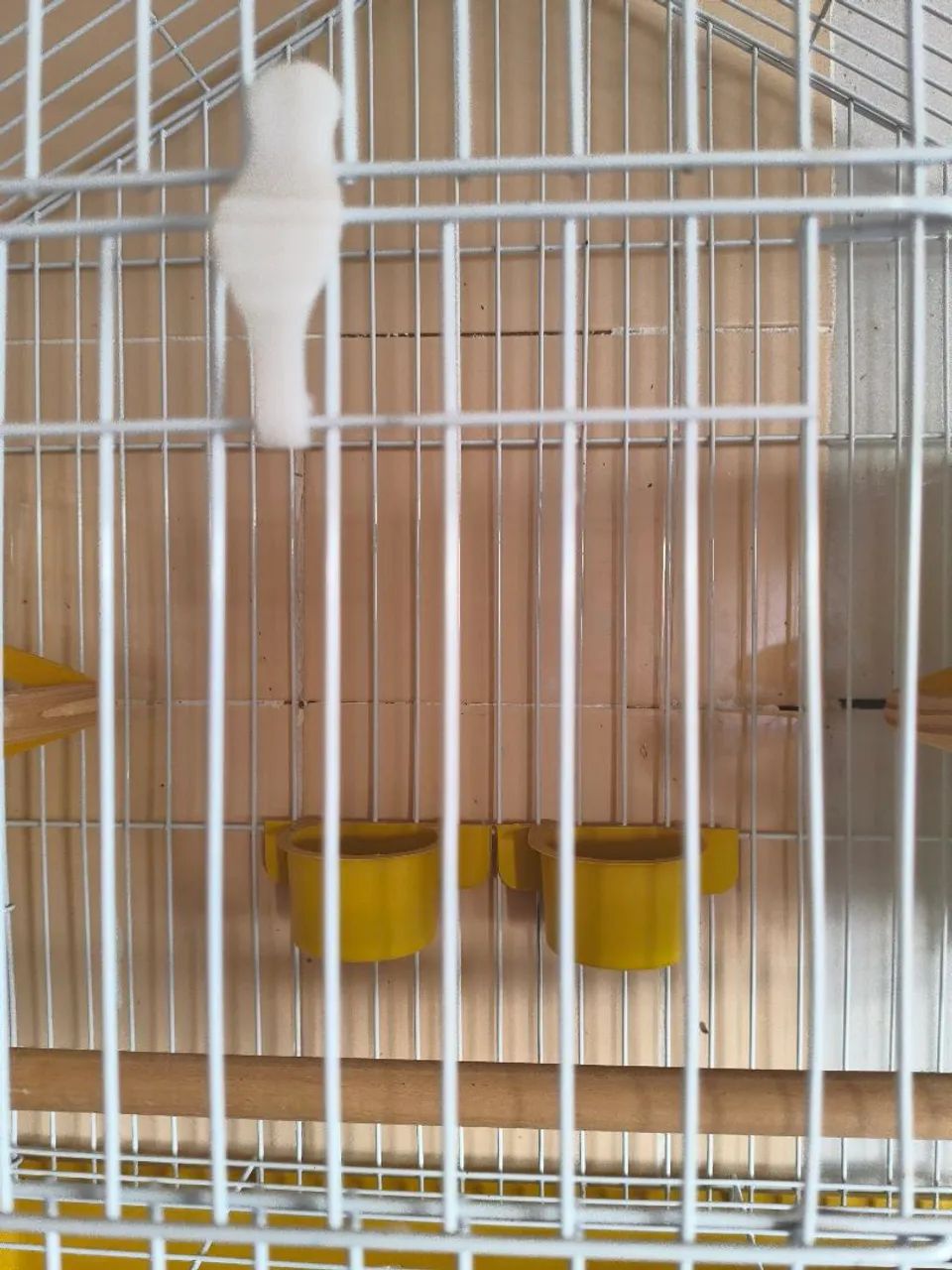 Vendo - Foto 2