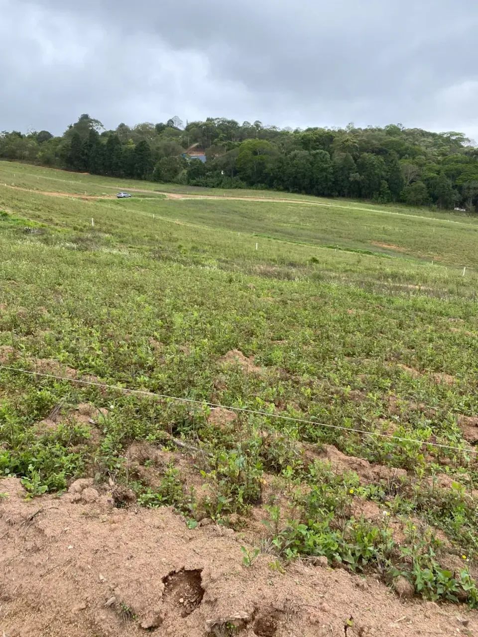 Invista hoje no seu lote em Cotia! - Foto 4
