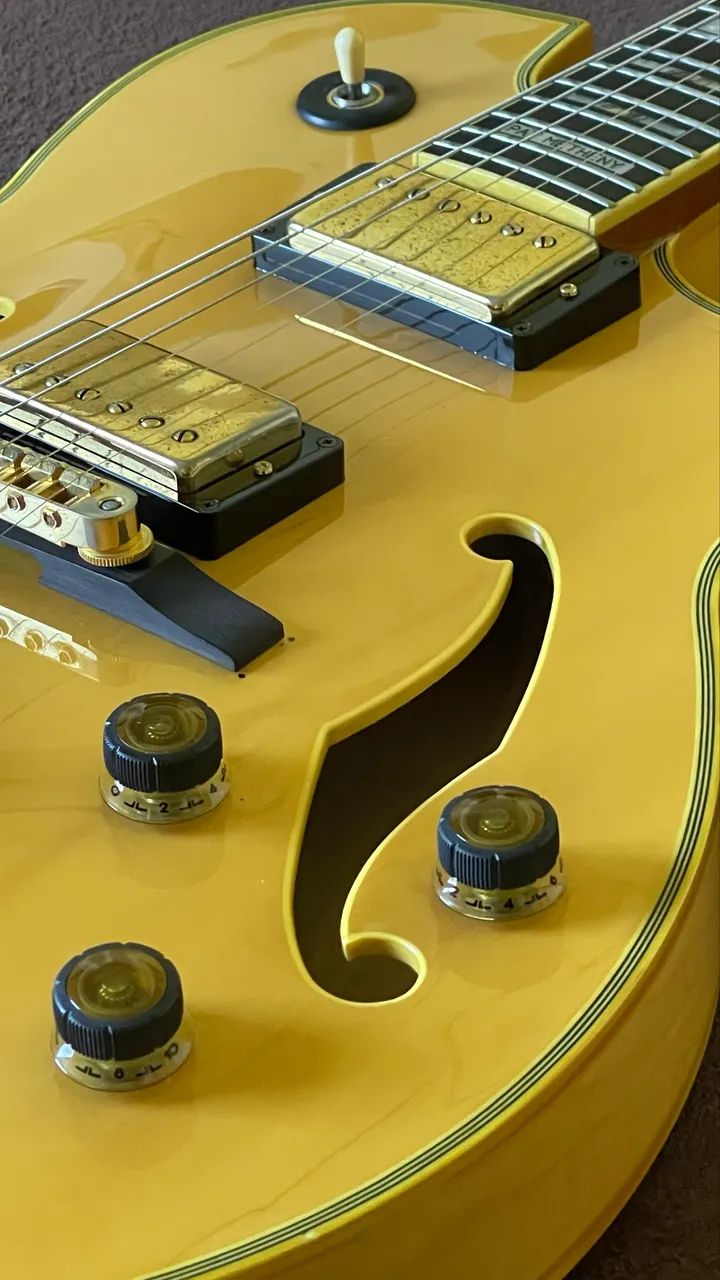 Guitarra Ibanez PM120 Signature Pat Metheny Japan c/Case (ñ nik