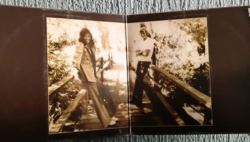 LP CARPENTERS - THE SINGLES - 1969-1973 - Foto 3