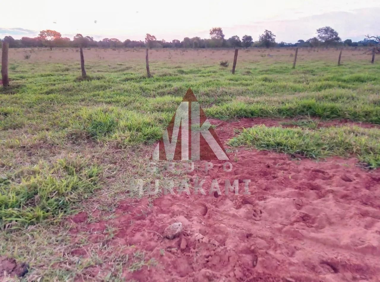 FAZENDA - AMAMBAÍ - MS - Foto 2