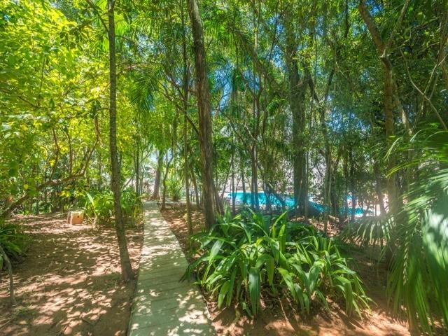 Apartamento, Córrego Grande, 3 dormitórios, (suíte) dependência de empregada - Foto 14