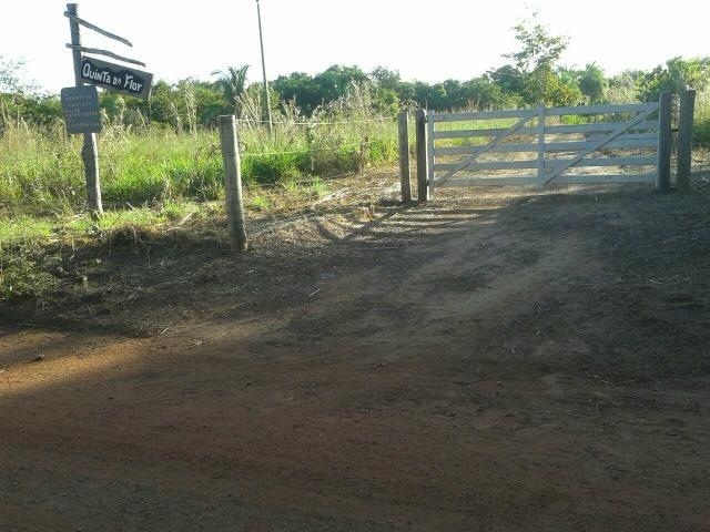 Chácara a beira do Rio Cuiabá - 1 hectare - Foto 20