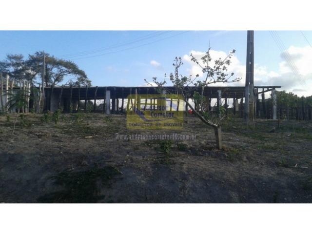 Excelente Área ? Com 6 Hectares - Chã-Grande/PE Propriedade ID : A0317 - Foto 14