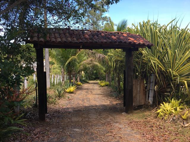 Fazenda de cacau em Ilhéus Bahia na RODOVIA DO CHOCOLATE / Super oportunidade - Foto 9