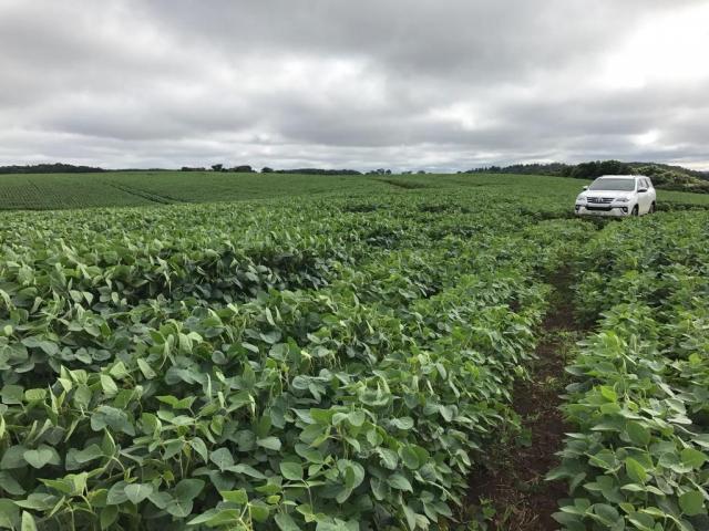 Fazenda à venda, R$ 18.900.000 - Pitanga/PR - Foto 4