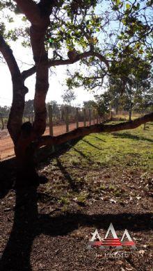 Chácara à venda em Pedra 90, Cuiabá cod:602 - Foto 20