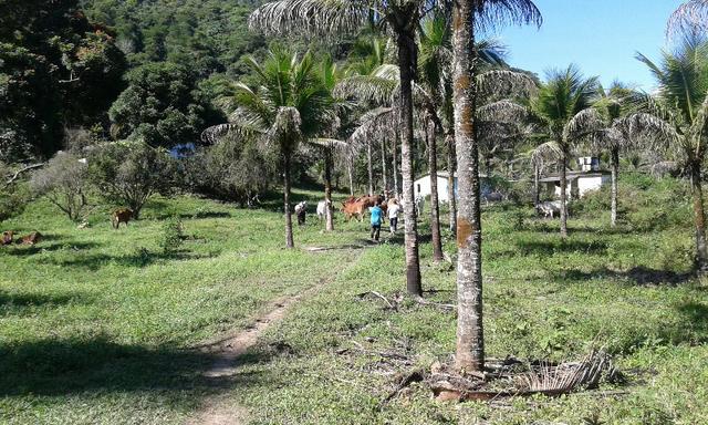 Vendo fazenda com 32 alqueres - Foto 9