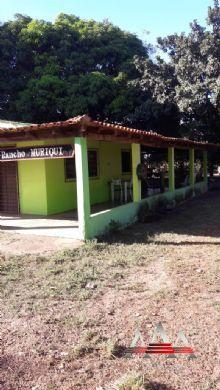 Chácara à venda em Pedra 90, Cuiabá cod:602 - Foto 9