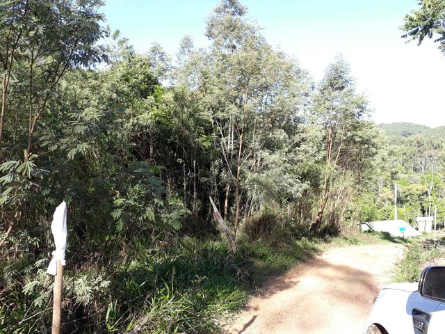 TORRANDO !!! LINDA CHÁCARA de 2.500m2° EM BOCAIUVA - Foto 2
