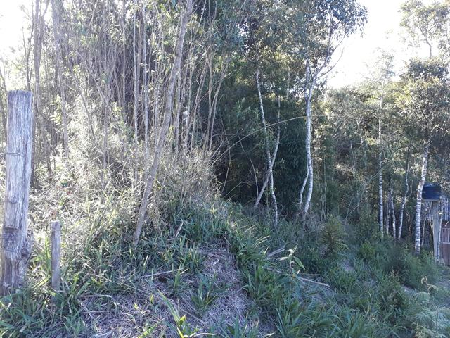 TORRANDO !!! LINDA CHÁCARA de 2.500m2° EM BOCAIUVA - Foto 3