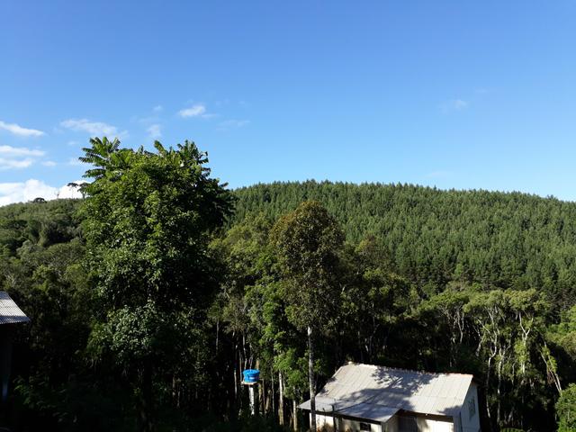 TORRANDO !!! LINDA CHÁCARA de 2.500m2° EM BOCAIUVA - Foto 15