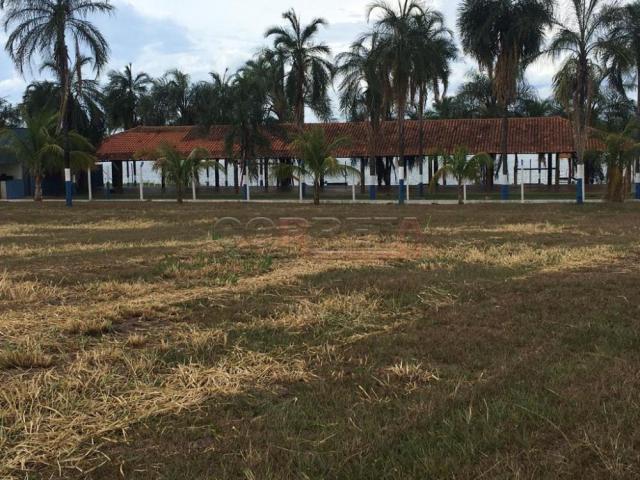 Sítio à venda em Engenheiro taveira, Aracatuba cod:V72161 - Foto 18