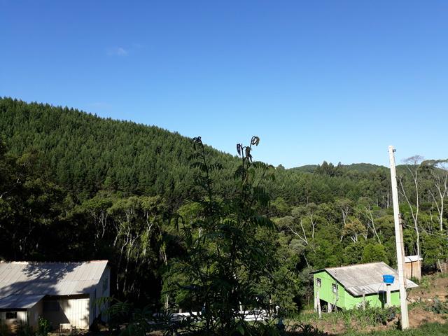 TORRANDO !!! LINDA CHÁCARA de 2.500m2° EM BOCAIUVA - Foto 18