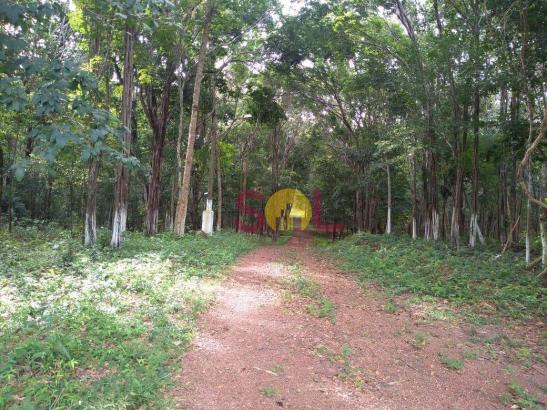 Chácara à venda, 20 hectares por r$ 1.500.000 - br-343 - altos/pi - Foto 16