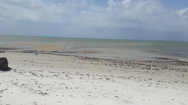 Oportunidade Beira Mar de Pontas de Pedra 12x30 por 75 Mil - Foto 2