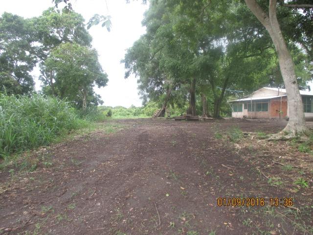 Fazenda na região do abobral,pra venda e arrendamento.2,800 ha - Foto 16