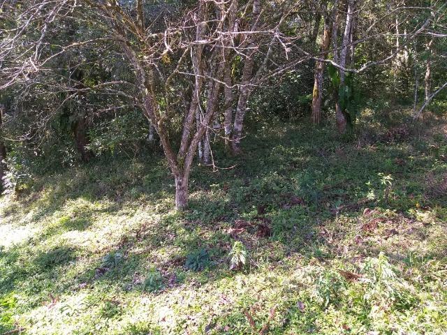 Otima localização - Foto 2