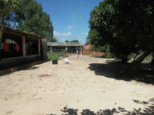 Sítio na matinha - Foto 3