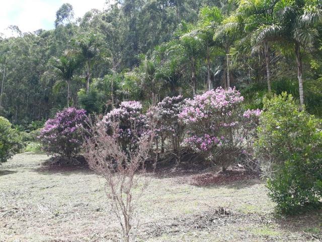 Linda chácara 3.000² a 7 km do trevo de Fazenda do Estado e 15km de Pedra Azul D.M.!! - Foto 10