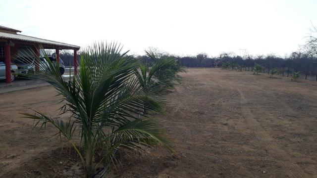 Venda - Foto 2