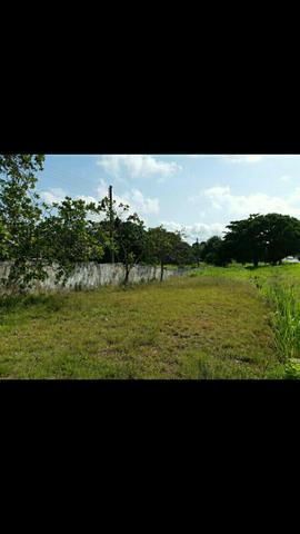 Terreno com 140 mil m2 na BR 316, KM 17 - Foto 2