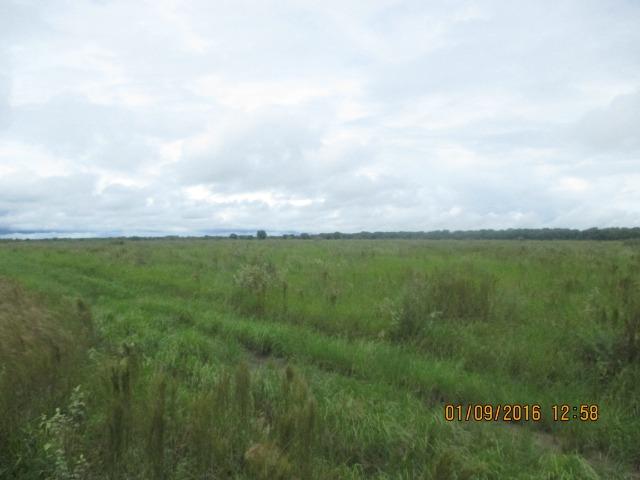 Fazenda na região do abobral,pra venda e arrendamento.2,800 ha - Foto 11