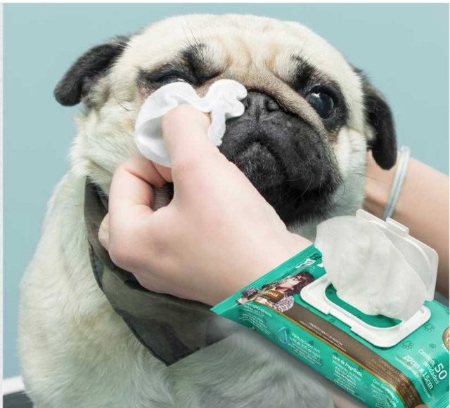 Lenco Pet FeelClean Pet c/ tampa flip top c/ 50 un - Foto 2